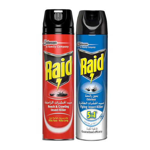 raid